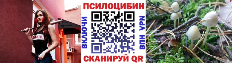 Псилоцибиновые грибы Cubensis  Нея 